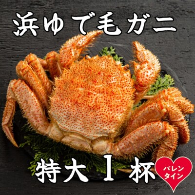 【バレンタインデー】流氷明け浜ゆで毛ガニ　特大1杯