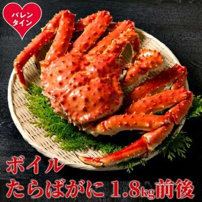 【バレンタインデー】ボイルたらばがに姿1尾 1.8kg前後