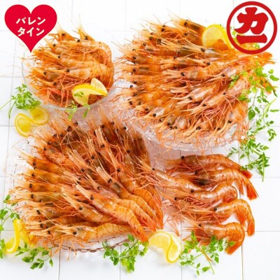 【バレンタインデー】どどーんと2kgぼたんえびセット