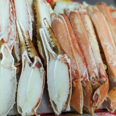 【ホワイトデー】ボイル本ずわいがにハーフポーション(総重量　約900g前後)