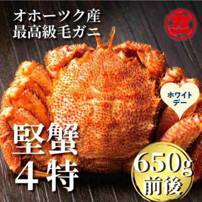 【ホワイトデー】北海道産ボイル毛がに【四特】 大サイズ1尾入り(1尾約650g前後)