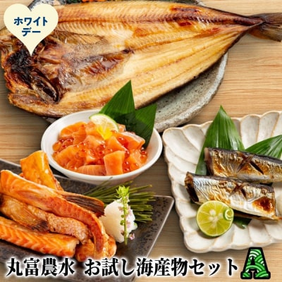 【ホワイトデー】丸富農水お試し海産物セットA