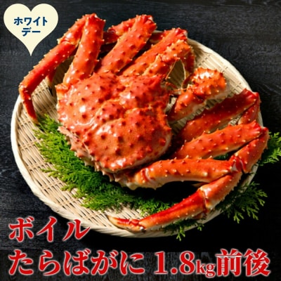 【ホワイトデー】ボイルたらばがに姿1尾 1.8kg前後