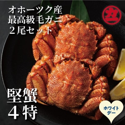 【ホワイトデー】ボイル毛がに(約440g～570g)×2尾