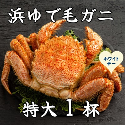 【ホワイトデー】流氷明け浜ゆで毛ガニ　特大1杯