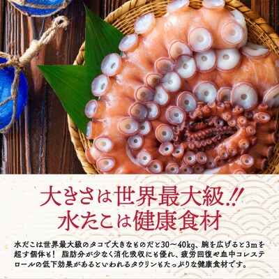 【バレンタインデー】水だこ太足 小分け真空パック約3kg