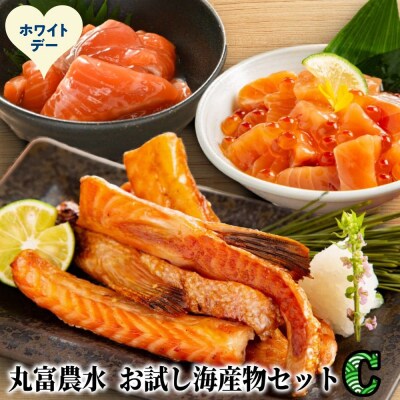 【ホワイトデー】丸富農水お試し海産物セットC