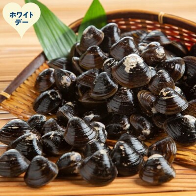 【ホワイトデー】冷凍砂出ししじみドーンと2.5kgセット