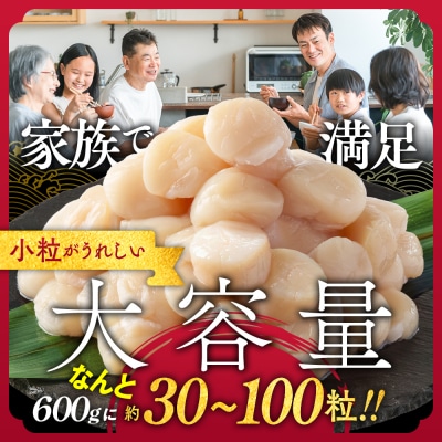 【訳あり】北海道オホーツク産ホタテ貝柱(生食用)小粒大入 600g | サイズ不揃い ワケアリ 訳あ