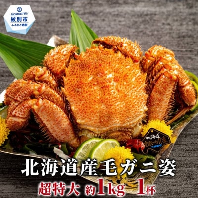 【訳あり】超特大_北海道産毛ガニ 約1kg×1杯