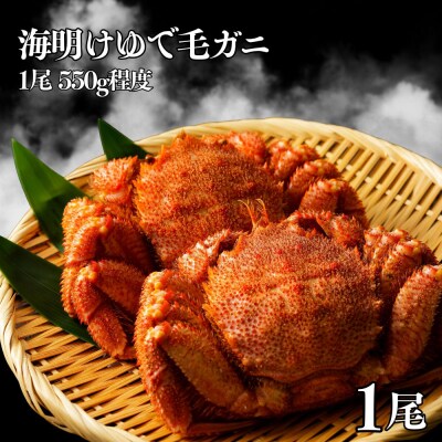 海明けゆで毛が二1尾(550g程度)