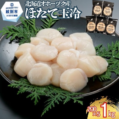 北海道オホーツク海産ほたて玉冷1kg(200g×5)