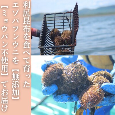 生 うに 紋別コムケ湖産 ミョウバン不使用 200g(100g×2個)