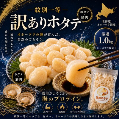 【訳あり】紋別一等～筋肉ホタテフレーク　1kg