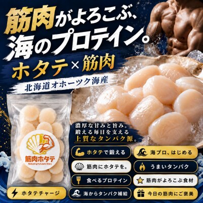 紋別一等～筋肉ホタテ　1.1kg