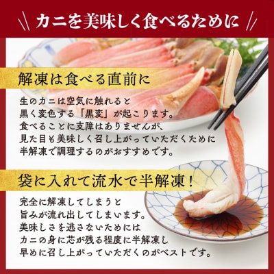 カニ鍋セット|生食可ズワイガニ剥き身1.2kg～1.4kg 