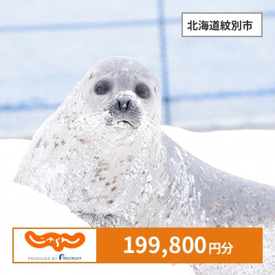 【じゃらんふるさと納税クーポン】 北海道紋別市でつかえる199,800円 クーポン