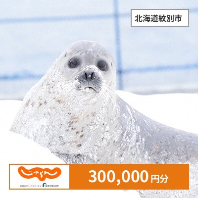 【じゃらんふるさと納税クーポン】 北海道紋別市でつかえる300,000円 クーポン