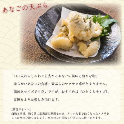 あなごの開き E0102