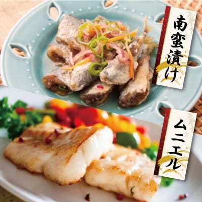 伊勢湾産 海産物 セット E0170