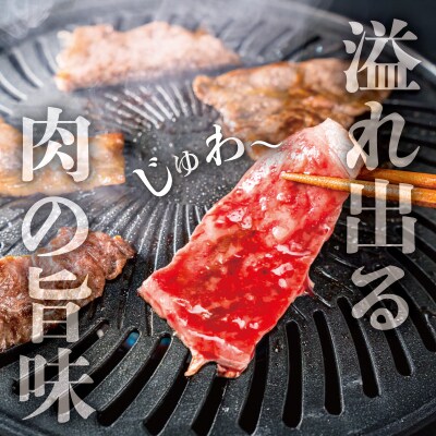 松阪牛 ホルモン ・ 松阪牛 焼肉 セット 900g E0169