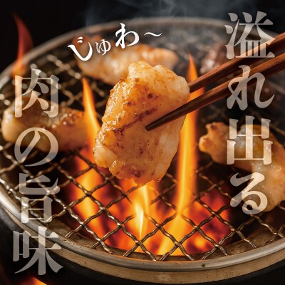 松阪牛 ホルモン ・ 松阪牛 焼肉 セット 900g E0169