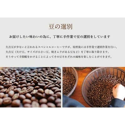 【1ヶ月ごとの定期便】 オトモニコーヒー お勧め 豆をお届け 250g×1袋 E1640-0