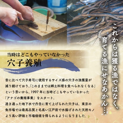漁師町の郷土料理 穴子 寿司 3個 入り E0083