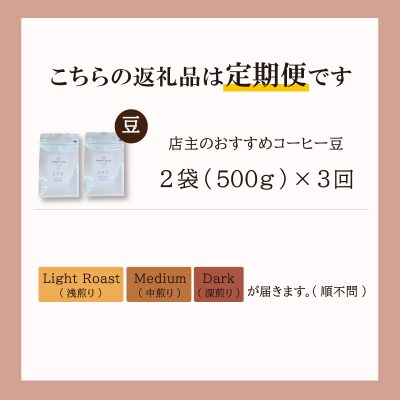 【1ヶ月ごとの定期便】 オトモニコーヒー お勧め 豆をお届け 250g×2袋 E1638-0