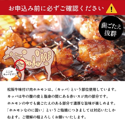 松阪牛 味付け 肉ホルモン 500g×2 E0077