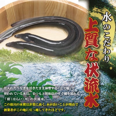 うなぎのかば焼き 1尾入り (タレ2本入り) E1963