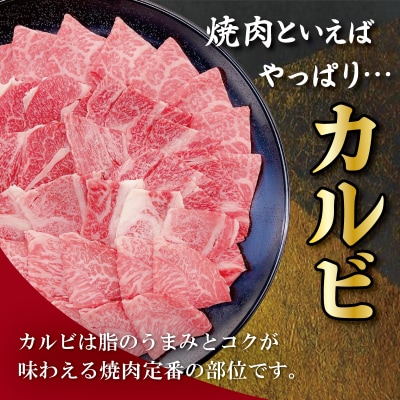 松阪牛 焼肉 (カルビ) 800g E0992