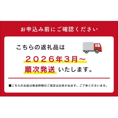 松阪牛 すき焼き ( 特選ロース ) 500g E0027