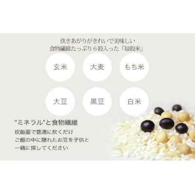 食物繊維 たっぷり 6穀入った 禄穀米 E0205