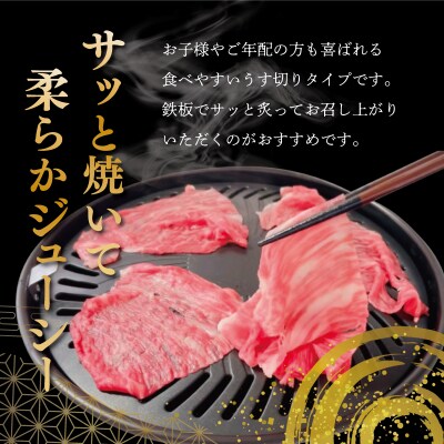 松阪牛 うす切り 焼肉 シルクロース 赤身 セット E1255