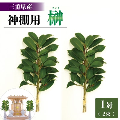 神棚用 榊 1対 (2束) 約25cm 神棚 さかき お供え E1442