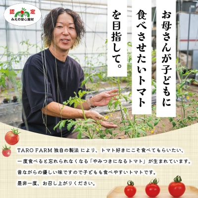明和町産 完熟 トマト ほれまる 1kg E1430