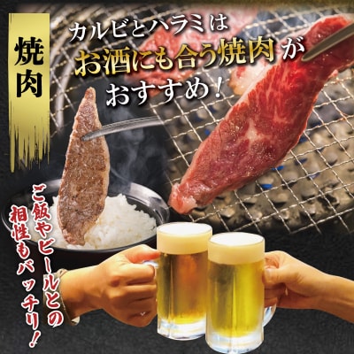 松阪牛 焼肉 (特選 カルビ ハラミ) 500g E1454