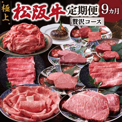 極上松阪牛 贅沢コース (定期便 9か月) 全9回 牛追道中 E1705-0