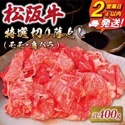 松阪牛 特選 モモ 肩バラ 切り落とし 400g 友屋本店 E1973