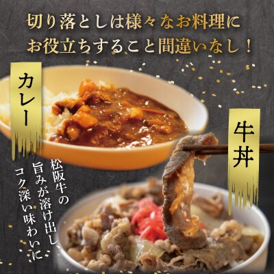 松阪牛 特選 モモ 肩バラ 切り落とし 400g 友屋本店 E1973