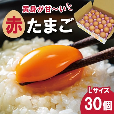 新鮮たまご 赤玉 Lサイズ 30個 中村養鶏場 E2092