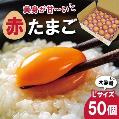 新鮮たまご 赤玉 Lサイズ 50個 中村養鶏場 E2093