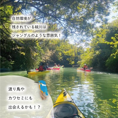 明和町・祓川 ジャングル クルーズ カヤック 体験 3名 E1423