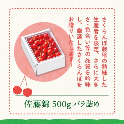 【先行受付】 令和8年産 さくらんぼ 佐藤錦 500g ( バラ詰め )