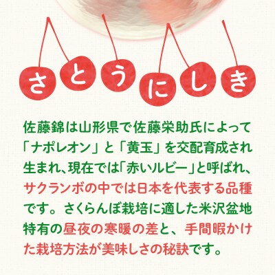 【先行受付】 令和8年産 さくらんぼ 佐藤錦 700g ( バラ詰め )