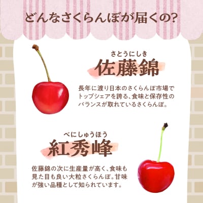 【先行受付】 令和8年産 さくらんぼ 300g ( 100g × 3パック ) 品種おまかせ