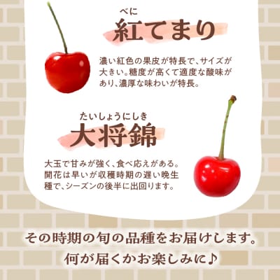 【先行受付】 令和8年産 さくらんぼ 300g ( 100g × 3パック ) 品種おまかせ
