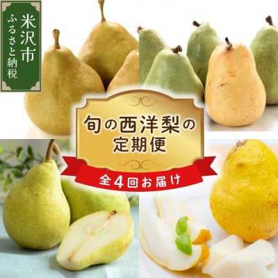 【先行受付】 定期便 令和8年産 西洋梨の定期便 全4回 配送 4種 × 約2kg 計 約8kg