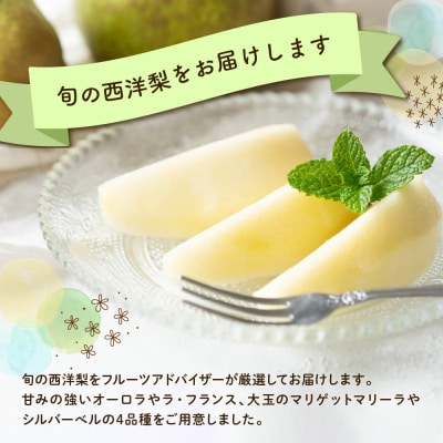 【先行受付】 定期便 令和8年産 西洋梨の定期便 全4回 配送 4種 × 約2kg 計 約8kg